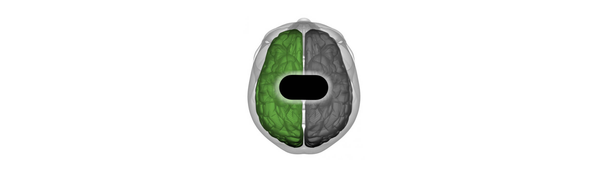 brain b1