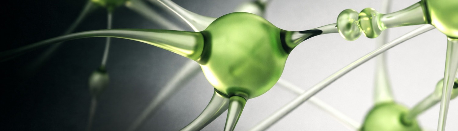 260130_Synapsen_corpus_design4